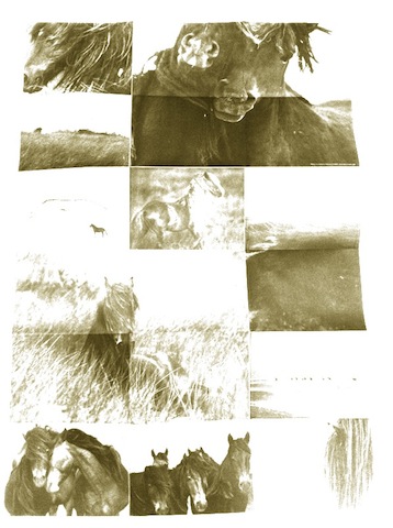 photo1